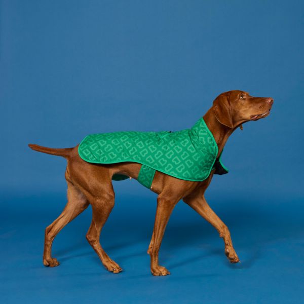 BLUNT Dog Jacket Park Green | Allium Interiors