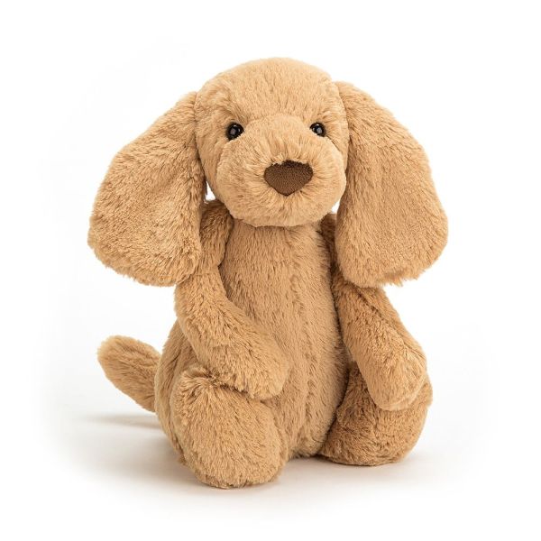 Jellycat Bashful Puppy Toffee | Allium Interiors