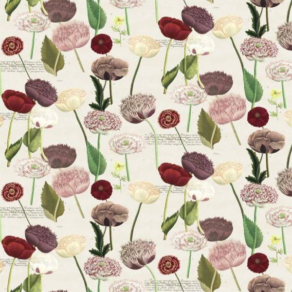 John Derian Fabric Poppy Study Violet | Allium Interiors