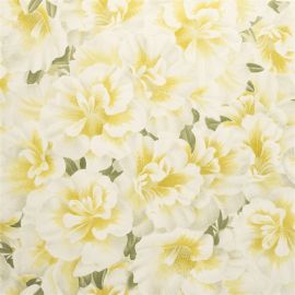 John Derian Wallpaper Variegated Azalea Mimosa