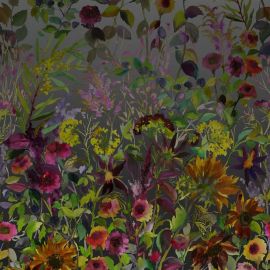 Designers Guild Wallpaper Indian Sunflower Graphite