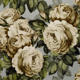 John Derian Wallpaper The Rose Steel