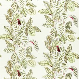 Sanderson Fabric Calathea Olive