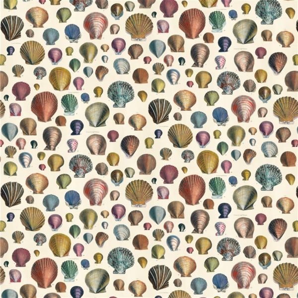 John Derian Fabric Captain Thomas Browns Shells Sepia | Allium Interiors