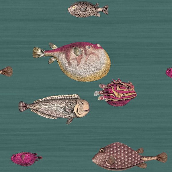 Cole And Son Wallpaper Acquario 114/12024 | Allium Interiors