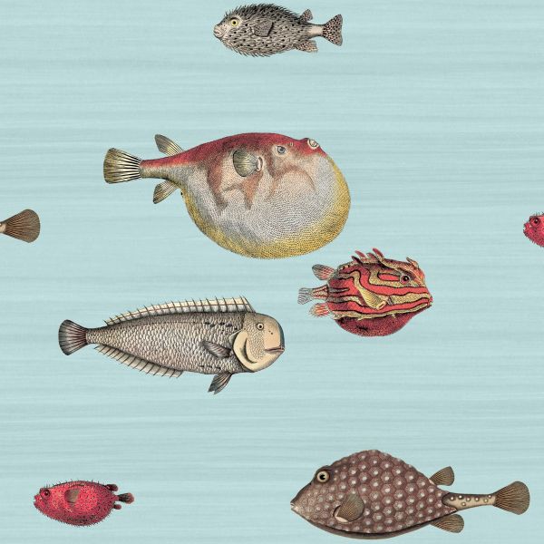 Cole And Son Wallpaper Acquario 97/10030 | Allium Interiors