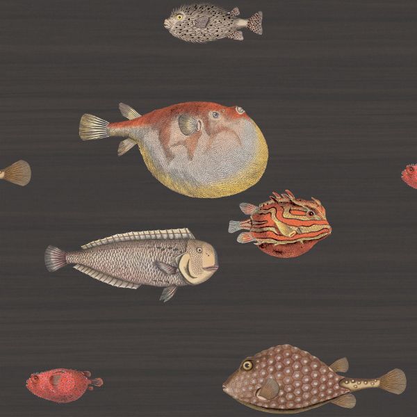 Cole And Son Wallpaper Acquario 97/10048 | Allium Interiors