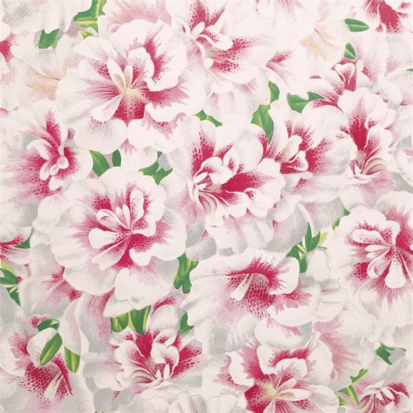 John Derian Wallpaper Variegated Azalea Azalea | Allium Interiors