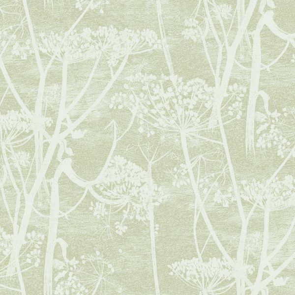 Cole And Son Wallpaper Cow Parsley 112/8029 | Allium Interiors