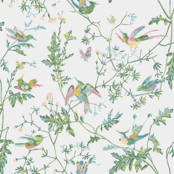 Cole And Son Wallpaper Hummingbirds 112/4015 | Allium Interiors