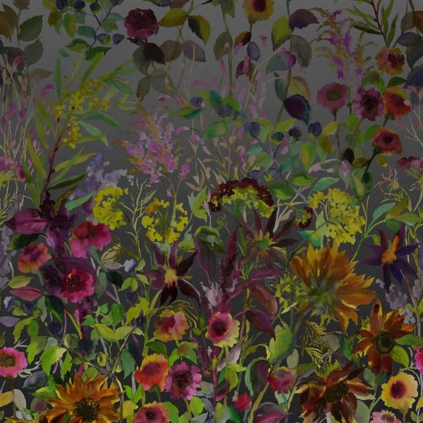 Designers Guild Wallpaper Indian Sunflower Graphite | Allium Interiors