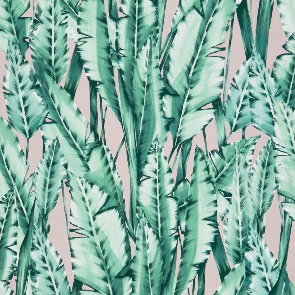 Osborne & Little Wallpaper Tiger Leaf Mint With Blush | Allium Interiors