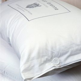 Bianca Lorenne Silk Filled Pillow 