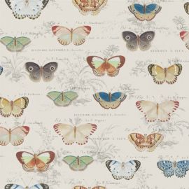 Designer Wallpapers from Allium Interiors