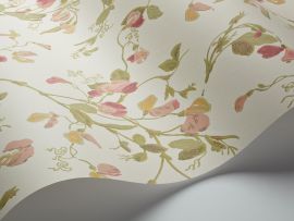 Cole And Son Wallpaper Sweet Pea 100/6028