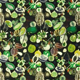 Christian Lacroix Fabric Soft Manaos Onyx