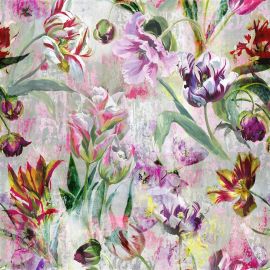 Designers Guild Fabric Tulipa Stellata Fuchsia