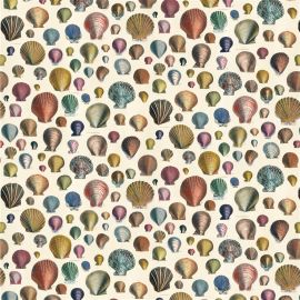 John Derian Fabric Captain Thomas Browns Shells Sepia