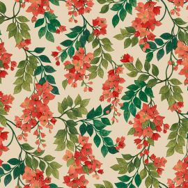 Cole And Son Wallpaper Bougainvillea 117/6016