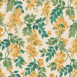 Cole And Son Wallpaper Bougainvillea 117/6018