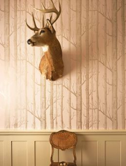 Cole And Son Wallpaper Woods 103/5024