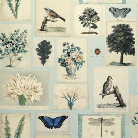 John Derian Wallpaper Flora And Fauna Cloud Blue