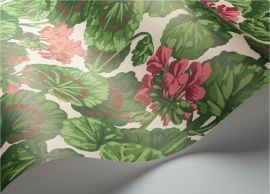 Cole And Son Wallpaper Geranium 117/11034