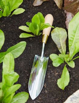 Sophie Conran Gardening Long Thin Trowel