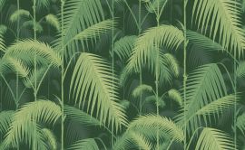 Cole And Son Wallpaper Palm Jungle 112/1003