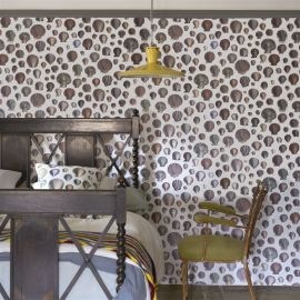 John Derian Wallpaper Captain Thomas Browns Shells Oyster