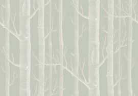 Cole And Son Wallpaper Woods 112/3013