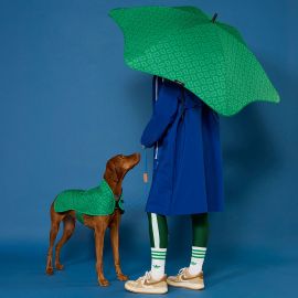 BLUNT Umbrella Classic Park Green